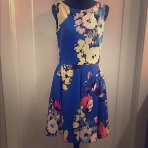 Women’s Taylor Dress